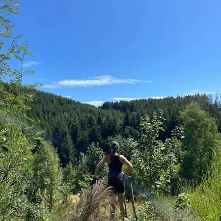 Feriehus La Maison Des Oiseaux