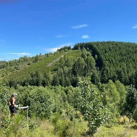 La Maison Des Oiseaux Feriehus