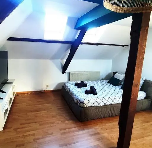 La Maison Des Oiseaux Martelange