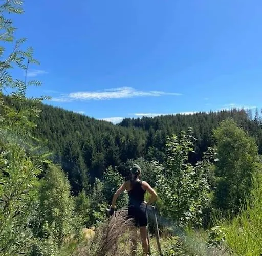 Ferienhaus La Maison Des Oiseaux