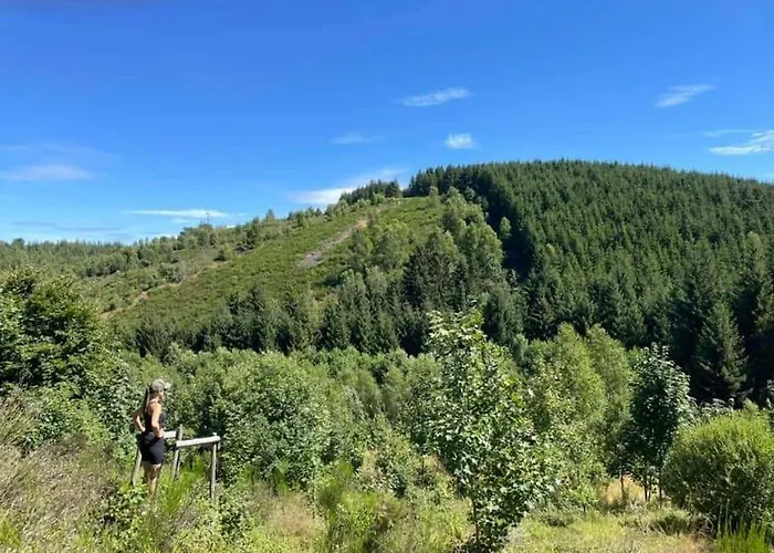 La Maison Des Oiseaux Ferienhaus